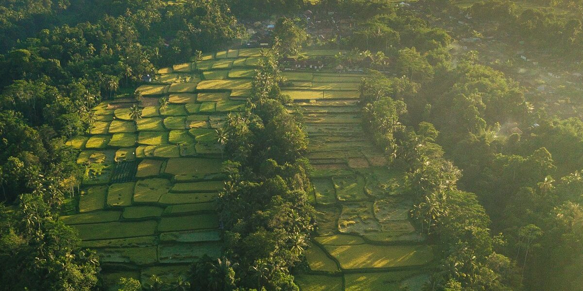 Yamaha VX Cruiser Personal Watercraft Review